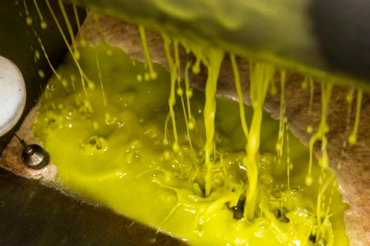 There Are Antioxidants in Extra Virgin Olive Oil?